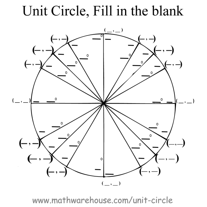 Unit circle fill in quiz