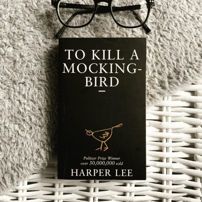 To kill a mockingbird quotes with page numbers chapter 1