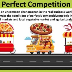 Competition perfect examples market business pure structure definition economics understand simple help termed ideal hypothetical concept also