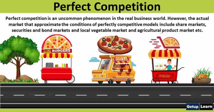 Competition perfect examples market business pure structure definition economics understand simple help termed ideal hypothetical concept also